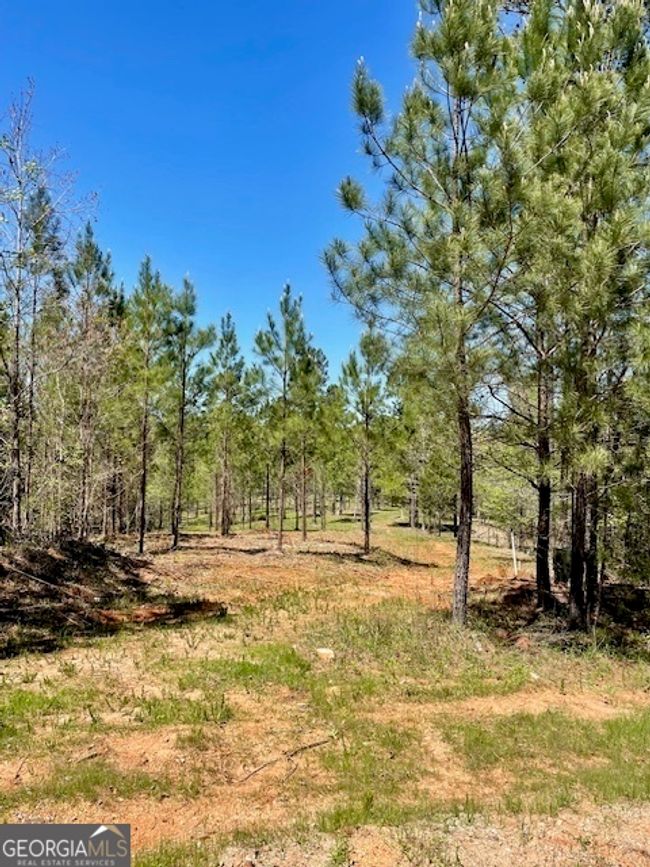 1276 Hornets Bridge Rd, Home with 0 bedrooms, 0 bathrooms and null parking in Elberton GA | Image 9