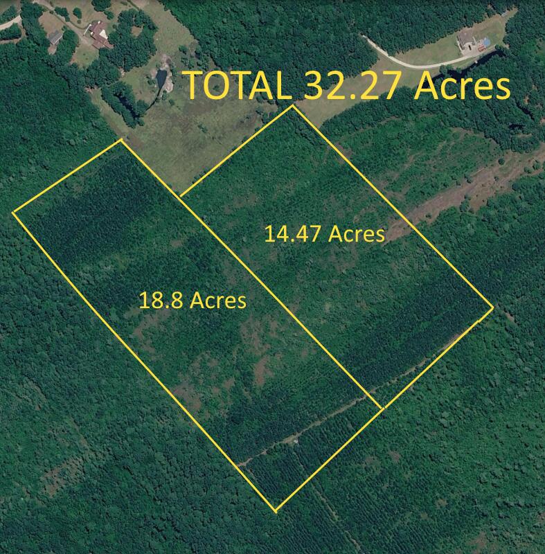 Land in McClellanville 2
