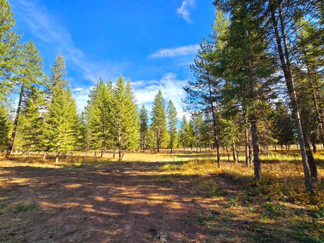 19 Faro Ln, Home with 0 bedrooms, 0 bathrooms and null parking in Trout Creek MT | Image 12