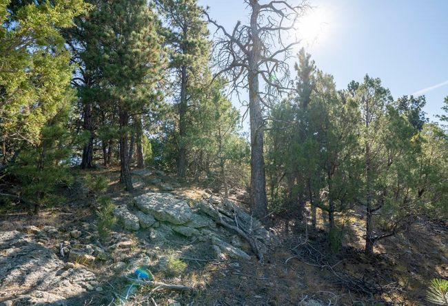 Lot 4 Sunset Ridge Road, Home with 0 bedrooms, 0 bathrooms and null parking in Newcastle WY | Image 22