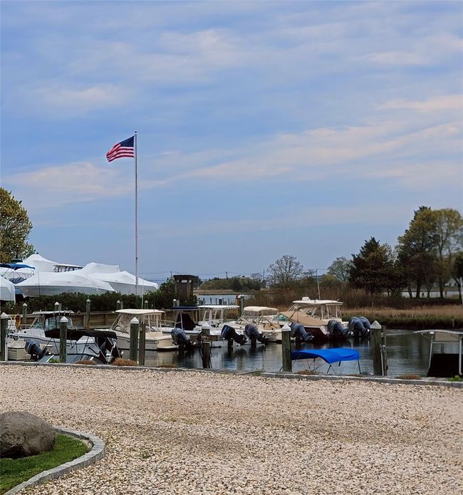 Local marina | Image 11