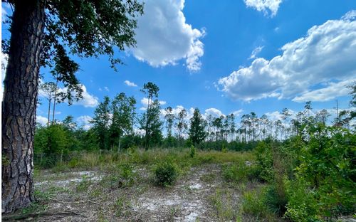 LOT24 Nw 48th Way, JENNINGS, FL, 32053 | Card Image