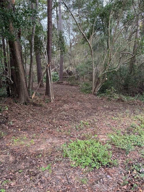 1611 Athens Dr, Roman Forest, TX, 77357-3131 | Card Image