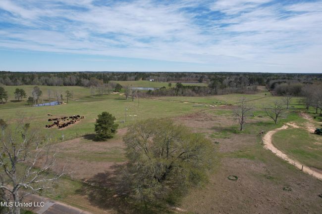 DJI_0924 | Image 5