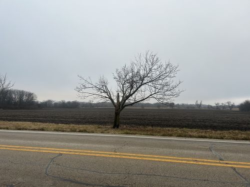 70 Acres Galligan Road, GILBERTS, IL, 60136 | Card Image