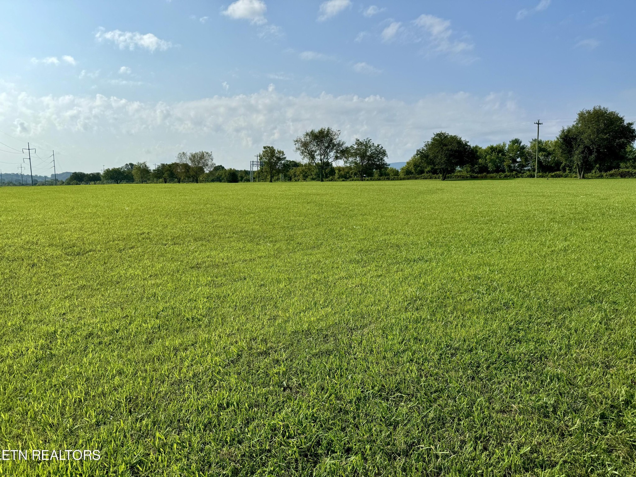 Land in Dandridge 5