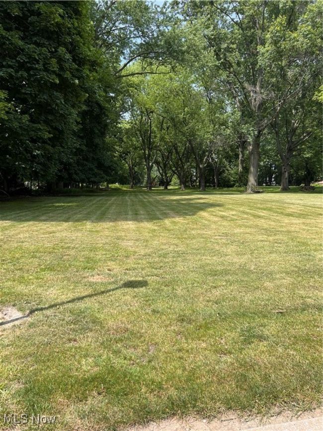 View of grassy yard | Image 19