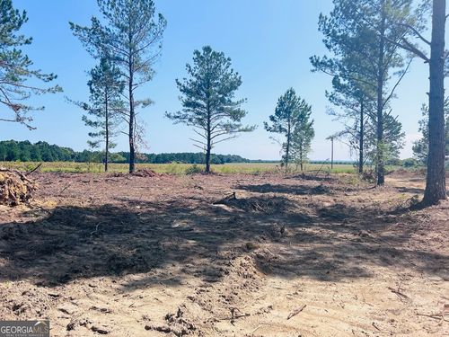 lot-1-0 Hicks Rd, Reynolds, GA, 31076 | Card Image