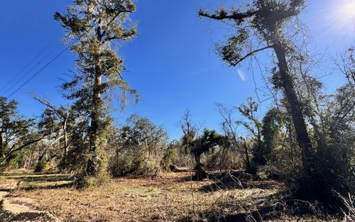 0 Ne Withlacoochee Shores Ln, Lee, FL, 32059 | Card Image