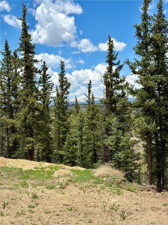 View of undeveloped land | Image 10