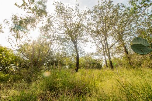 6562 Cross Rd, Seguin, TX, 78155-8132 | Card Image