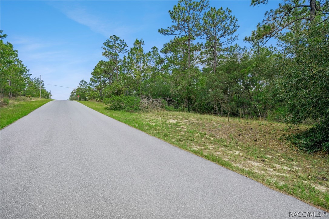 Land in Citrus Springs 4