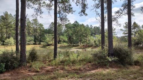 5279 Highway 13, Lumberton, MS, 39455-9127 | Card Image