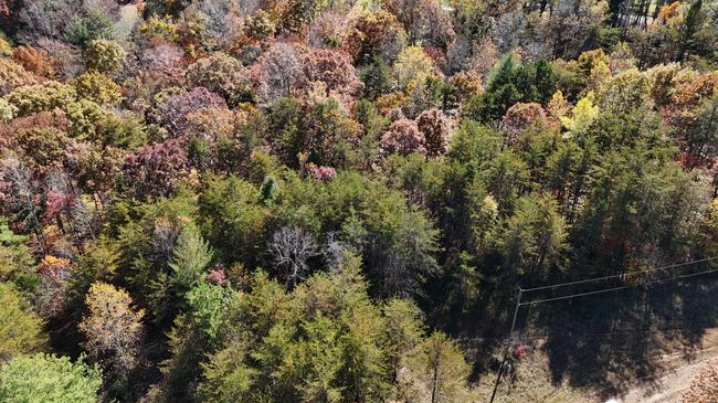 DJI_20241102133324_0072_D | Image 8