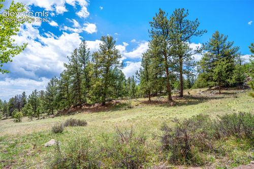 527 Plateau Drive, Guffey, CO, 80820 | Card Image