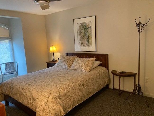 Guest bedroom...getting new windows in March! | Image 21