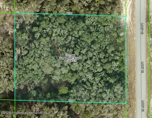 0 Loop Ct, WEBSTER, FL, 33597 | Card Image