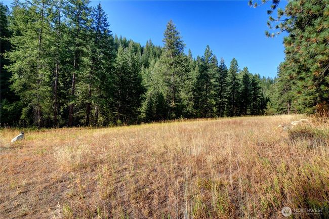 Two open meadows are on the property. Plenty of room for a garden. | Image 6