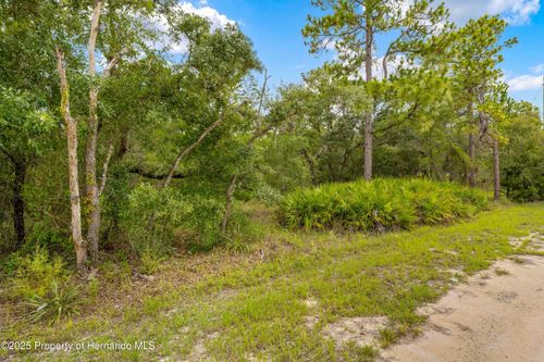 0000 Marsh Owl Ave, BROOKSVILLE, FL, 34614 | Card Image