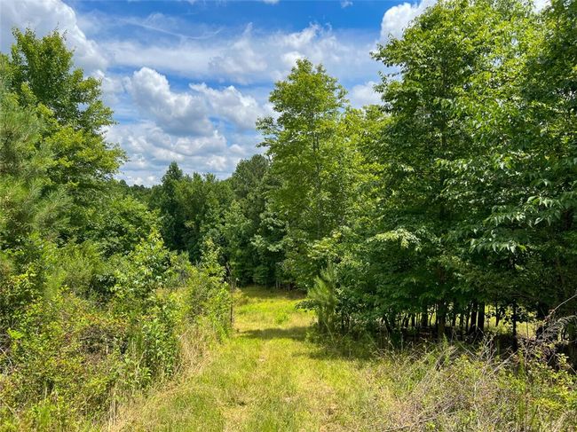 B - 00 Quarter Round Rd, Home with 0 bedrooms, 0 bathrooms and null parking in pacolet SC | Image 7