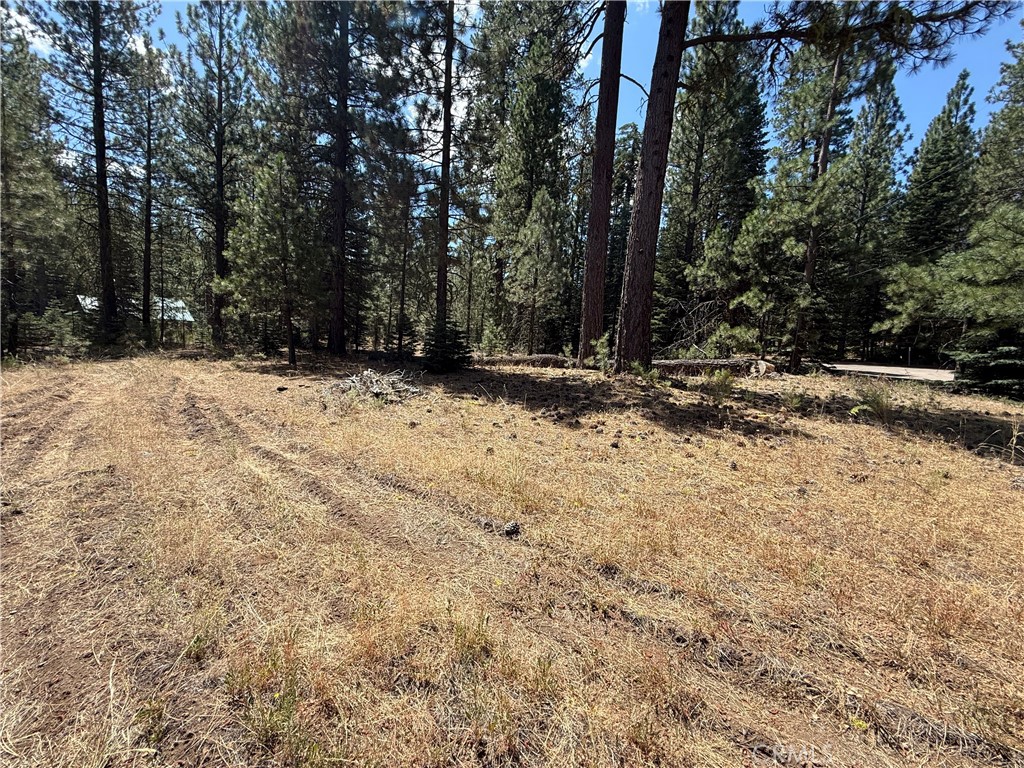 Land in Old Station 4