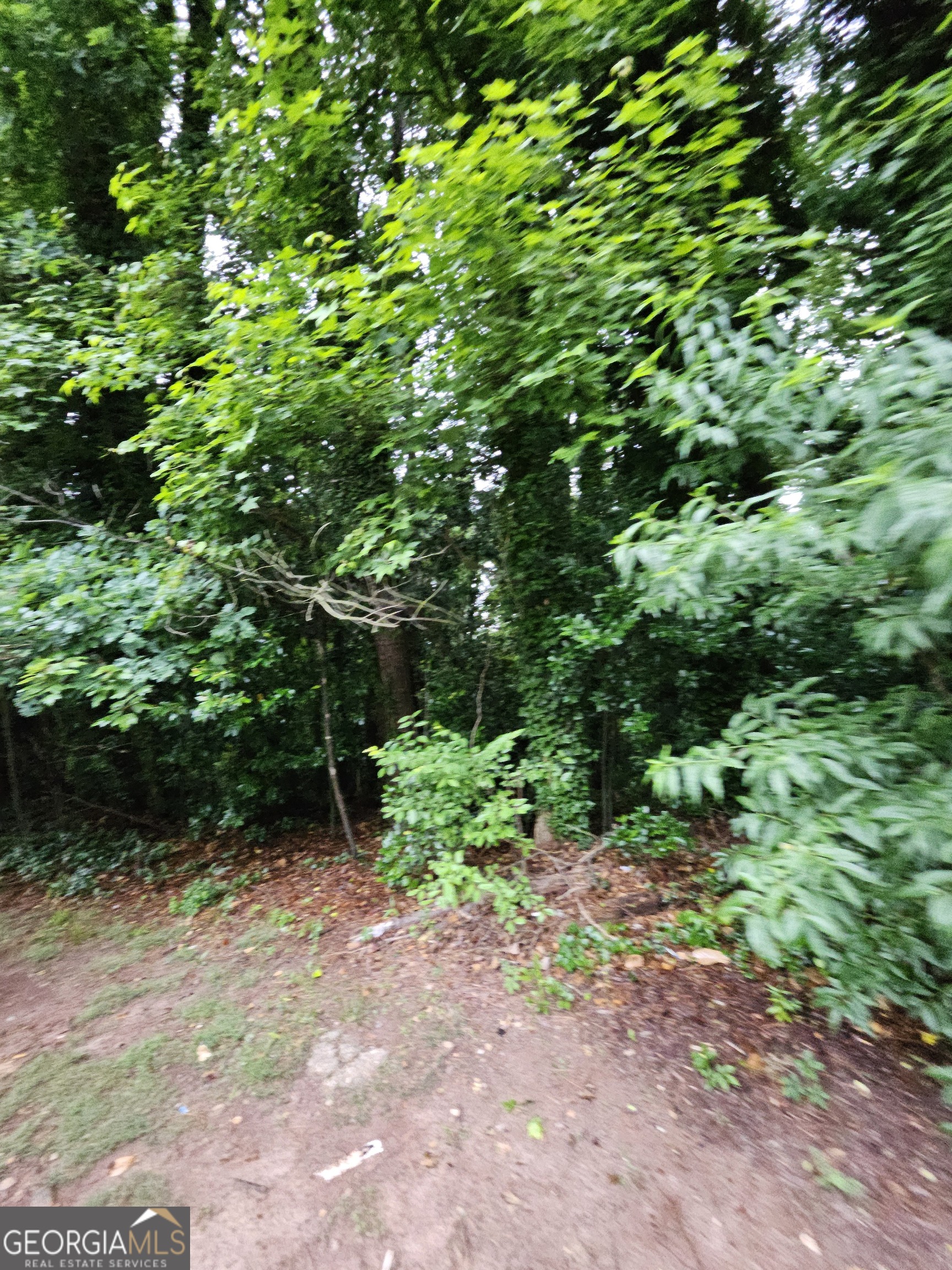 Land in Decatur
