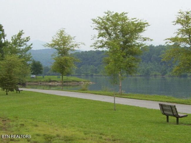 Miles Of Trails Along The Clinch River | Image 52