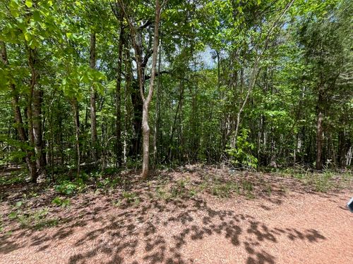 0 Farmville Rd, Waverly, AL, 36879 | Card Image