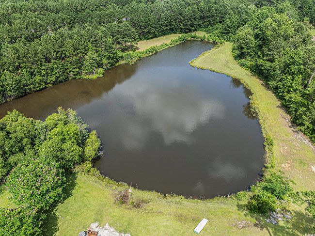 Drone / aerial view of a nearby body of water and a forest | Image 37
