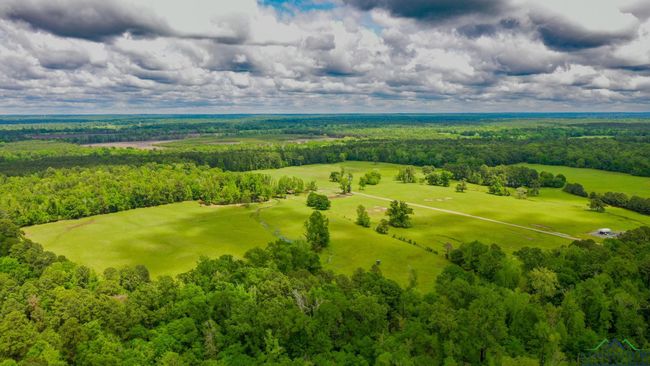 000 Fm 1794 E, Home with 0 bedrooms, 0 bathrooms and null parking in De Berry TX | Image 11