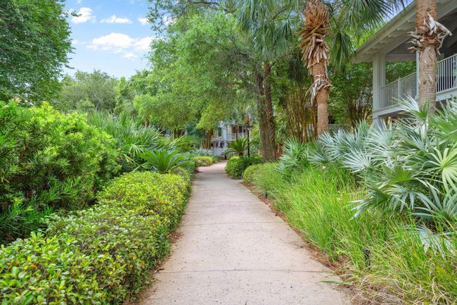 32-web-or-mls-DSC01383 | Image 28