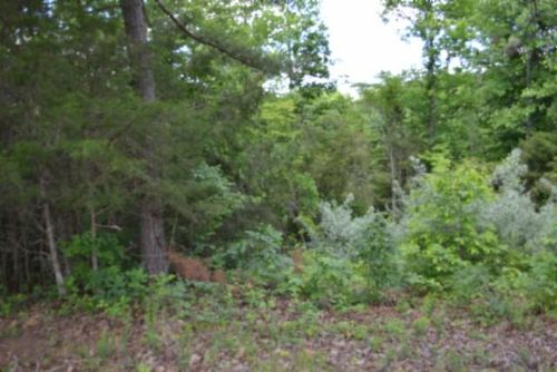 2.75ac Beauchamp Rd, Burkesville, KY, 42717 | Card Image