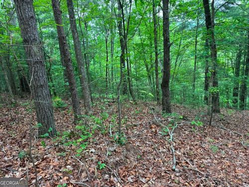 1674A Hunter Dr, Ranger, GA, 30734 | Card Image