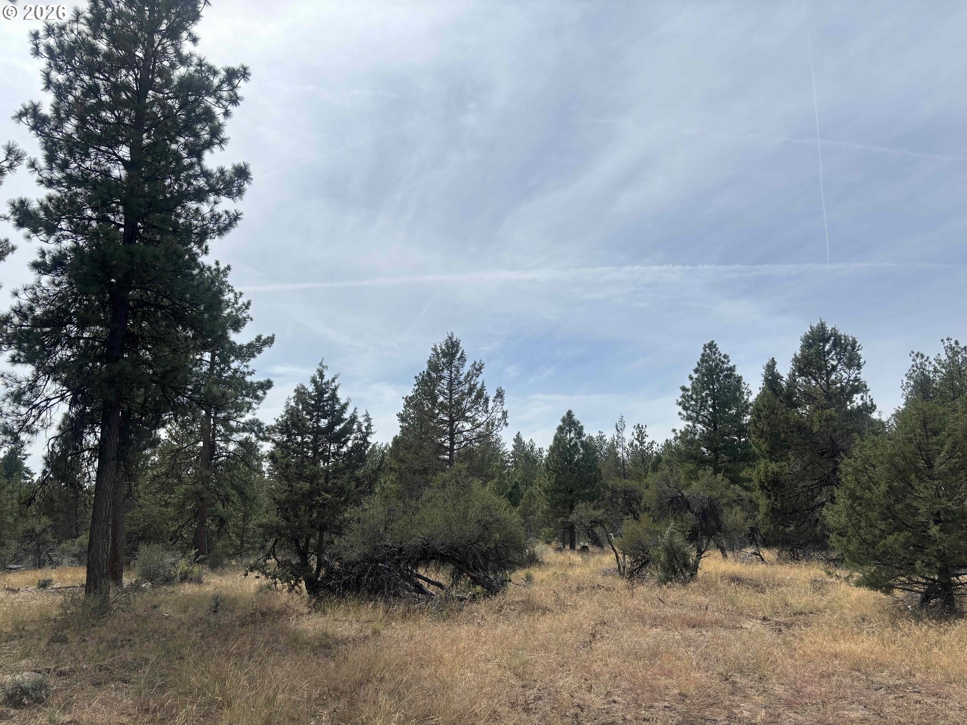 Land in Bonanza 3