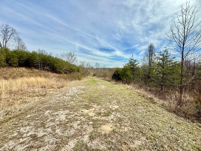 9999 Cam Court Dr, Home with 0 bedrooms, 0 bathrooms and null parking in Lily KY | Image 15