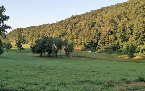 1 Oak Ln, Hayesville, NC, 28904-6902 | Card Image