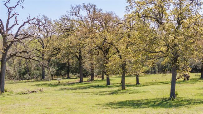 5732 Rose Hill Rd, House other with 2 bedrooms, 2 bathrooms and null parking in Calvert TX | Image 33