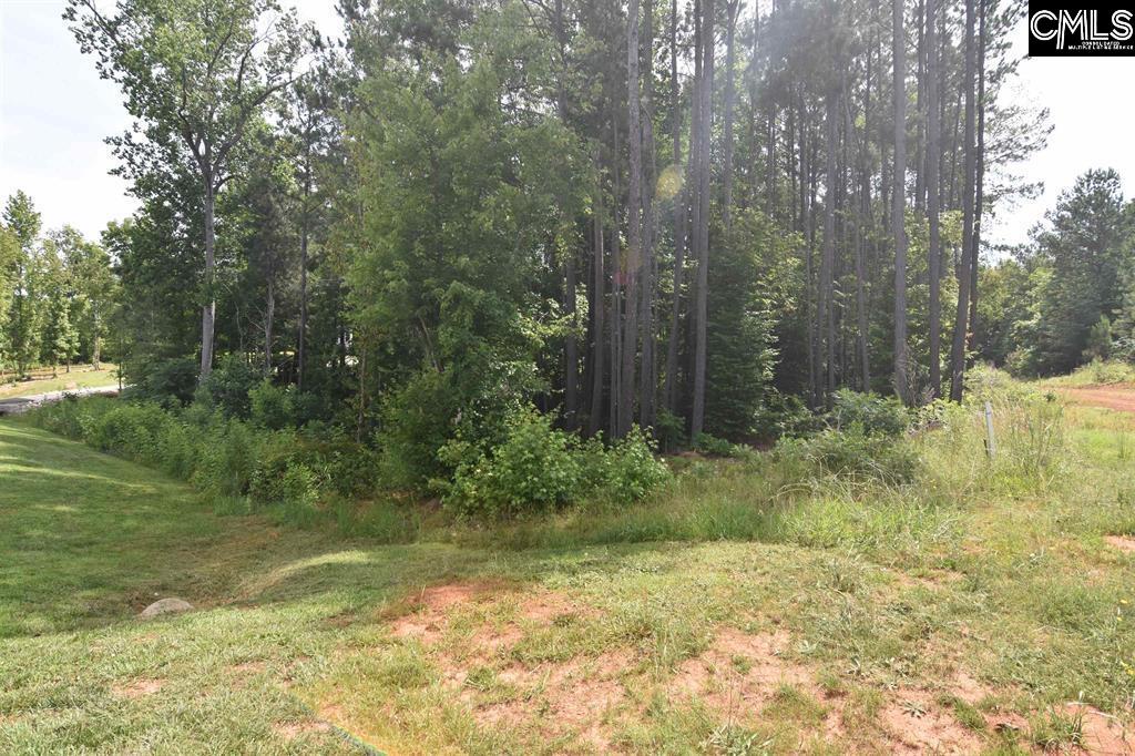 Land in Leesville 3