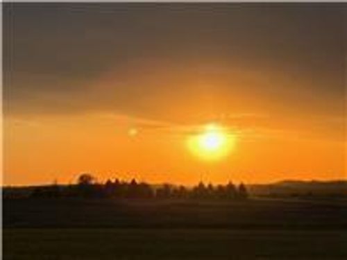 4119 Millie Meadows Dr Sw, Rochester, MN, 55902-5500 | Card Image