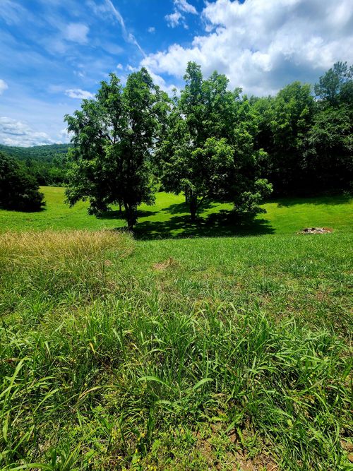 0 Goodfield Ter, Decatur, TN, 37322 | Card Image