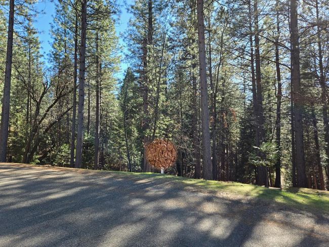 5701 Lupin Lane, Home with 0 bedrooms, 0 bathrooms and null parking in Pollock Pines CA | Image 24