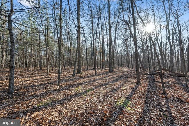 LOT 4 Back Creek Rd, Home with 0 bedrooms, 0 bathrooms and null parking in GORE VA | Image 7