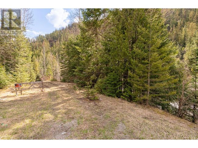 DL 10612 Highway 3, Home with 0 bedrooms, 0 bathrooms and null parking in Salmo BC | Image 40