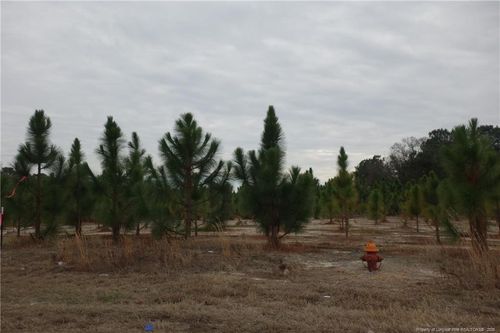 Lot 32 Stuarts Mill Rd, Fairmont, NC, 28340 | Card Image