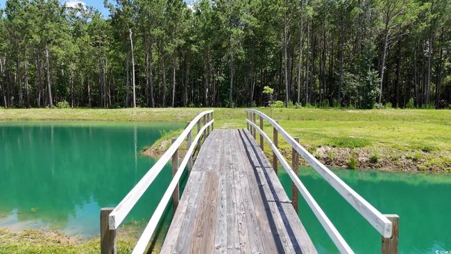 Dock with a water view, a yard, and a view of trees | Image 16