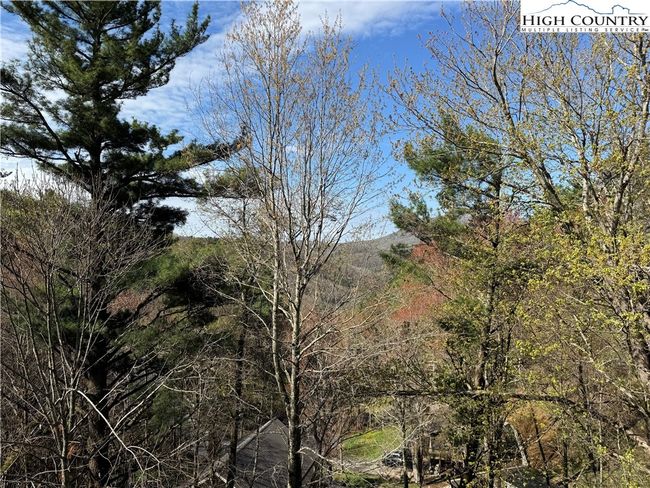 1315 Niley Cook Rd, House other with 4 bedrooms, 4 bathrooms and null parking in Blowing Rock NC | Image 33