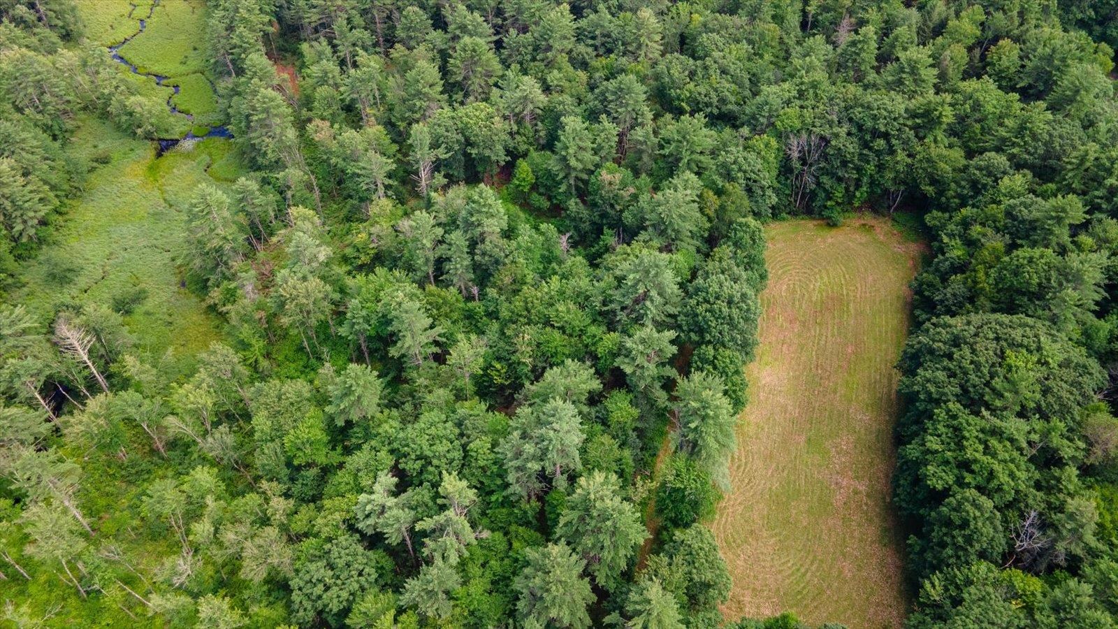 Land in Francestown 4