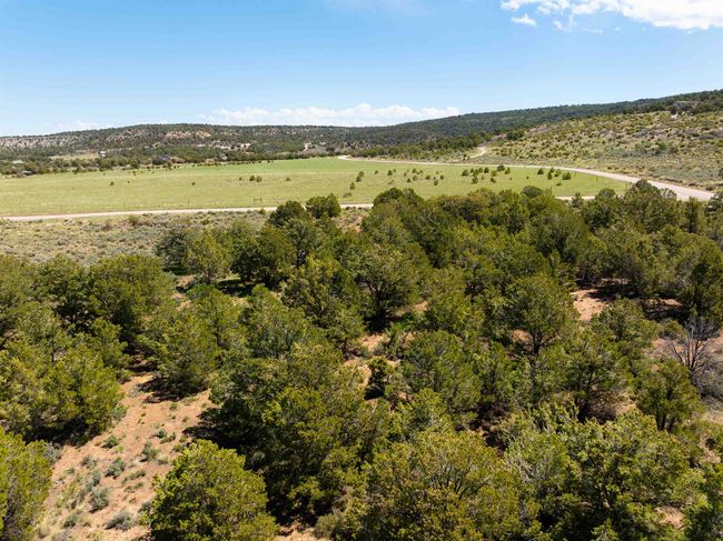 15770 Masters Ranch Dr, Home with 0 bedrooms, 0 bathrooms and null parking in Glade Park CO | Image 16