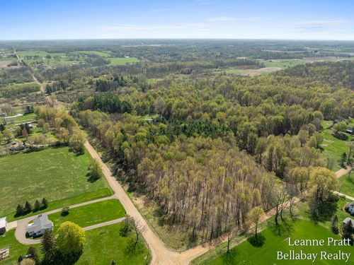 VL N Pease Road, Vermontville, MI, 49096 | Card Image