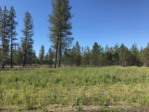 5742 J Corkscrew Canyon Rd, Tumtum, WA, 99034-5102 | Card Image